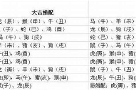 97年属啥|97年属什么 97年属什么的生肖配对